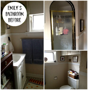Emily Johnston's Bathroom Makeover BEFORE | hookedonhouses.net