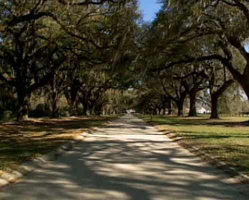 Inspiration for Twelve Oaks Drive in The Notebook