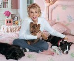 Joan Rivers' Former Country Home in Connecticut | hookedonhouses.net