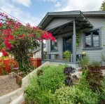 A close up of a flower garden in front of a house