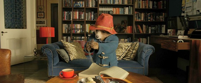 Paddington Bear sits on blue sofa