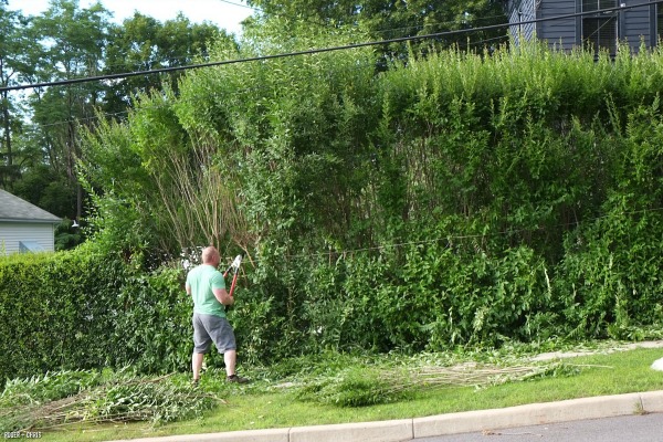 Roger Hazard landscaping the front of his yard