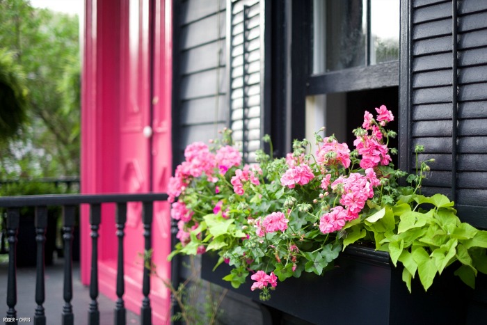 Pink door and pink flowers in windowbox