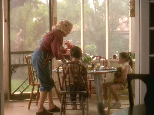 https://hookedonhouses.net/wp-content/uploads/2015/07/Hope-Floats-movie-house-screened-porch-Gena-Rowlands.jpg