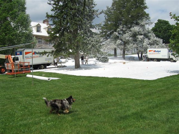 creating fake winter on the set of "Marley and Me" movie