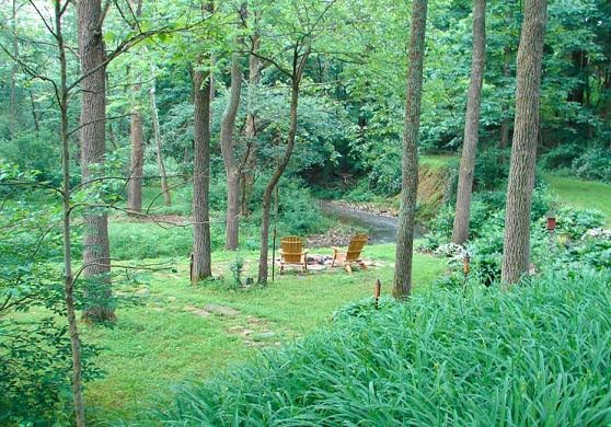 two Adirondack chairs in the middle of a lush green forest