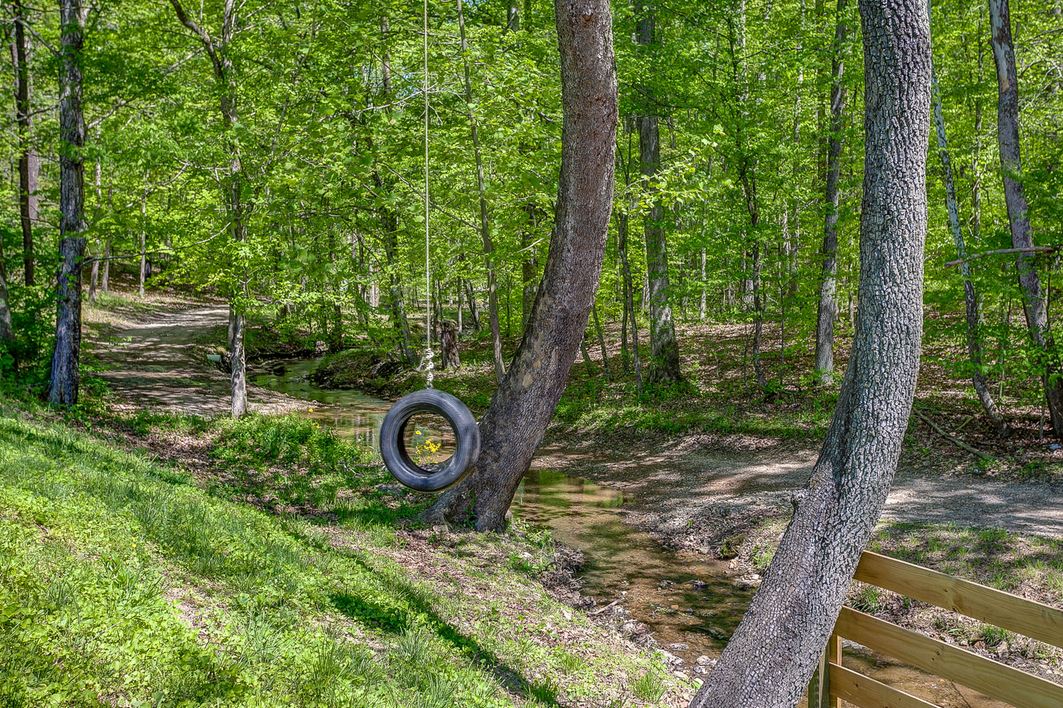 tire swing hanging beside creek