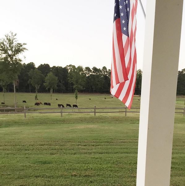 View of pasture from front porch of farmhouse