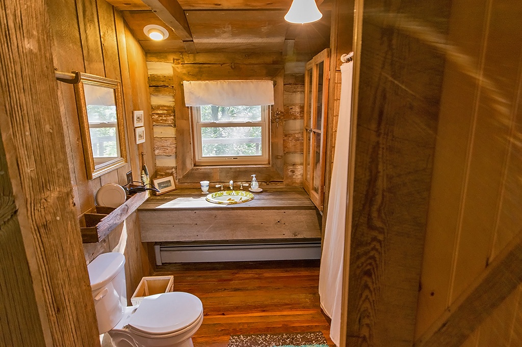 bathroom in log cabin with shower