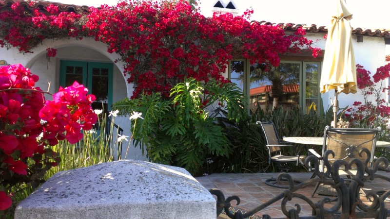 courtyard with bougainvillea 