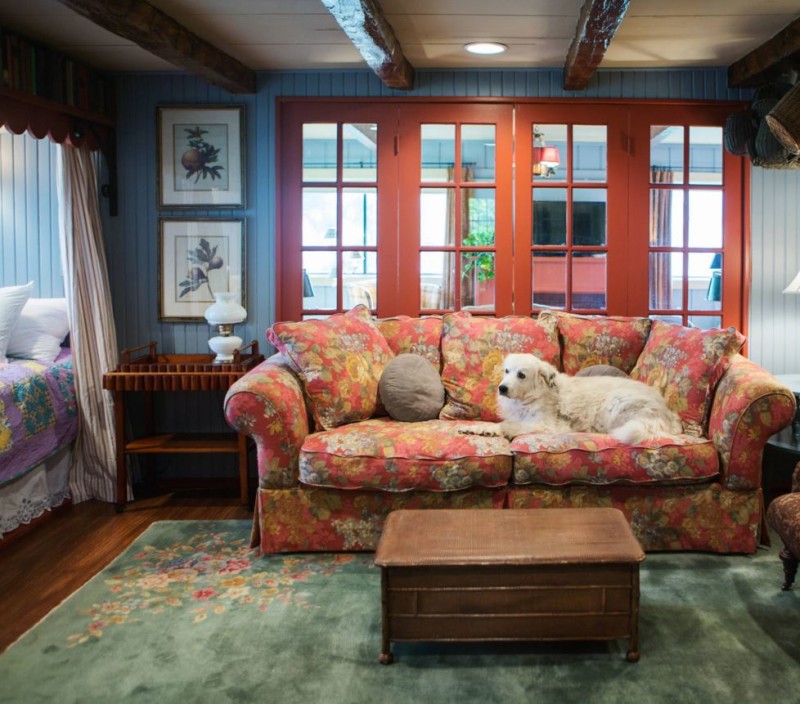 Floral sofa with white dog lying on it 
