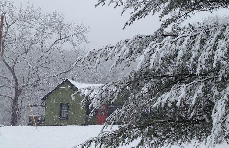 Gosherd Cottage on a goose farm in Missouri