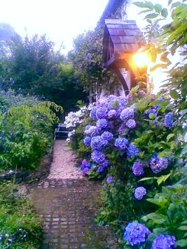 Fig Tree Cottage Cotswolds style in Australia hydrangeas