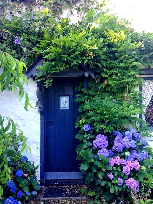 Fig Tree Cottage Cotswolds style in Australia hydrangeas