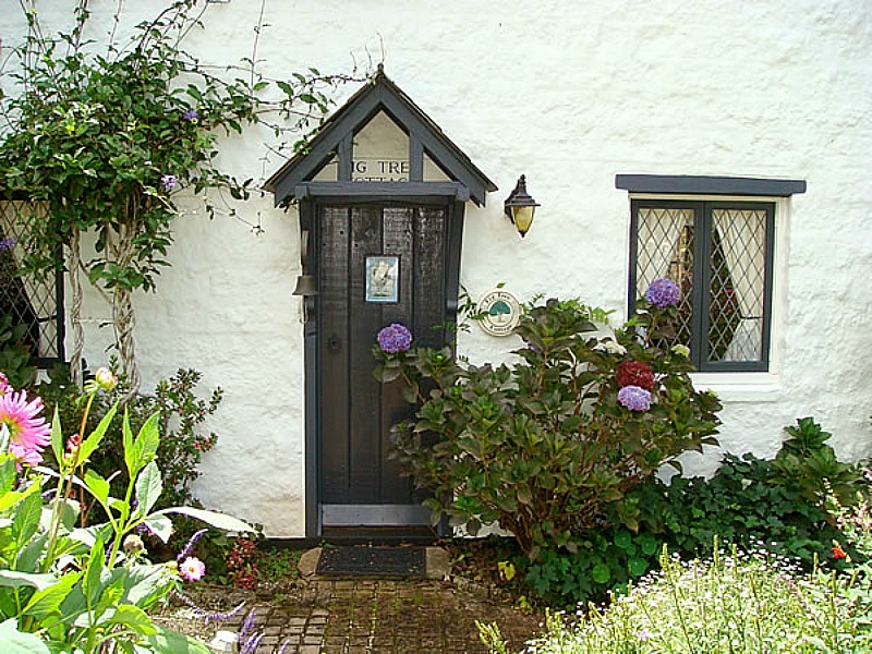 Fig Tree Cottage-front door