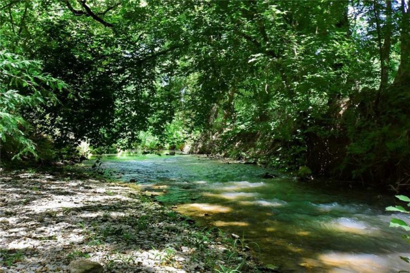 River behind property