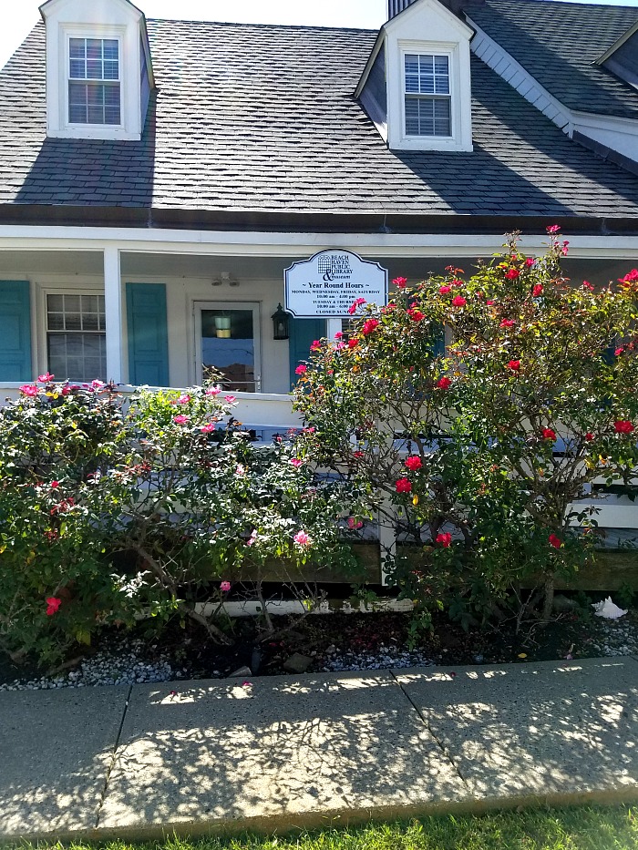 Roses in front of Beach Haven Public Library