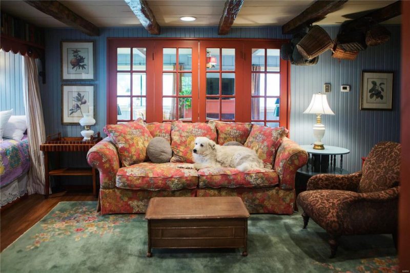 Living room with white dog sitting on floral sofa