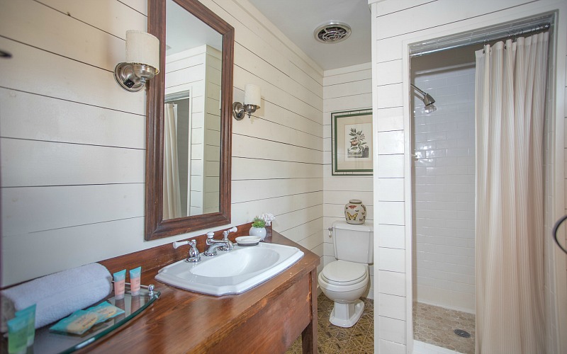 A sink and a mirror with shiplap walls in bathroom