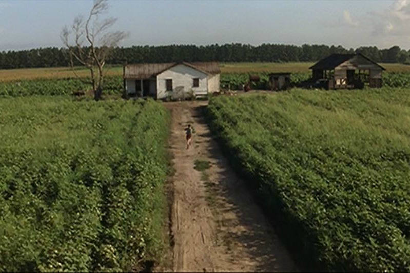 Jenny's old farmhouse and field Forrest Gump