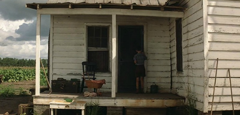 Young Forrest Gump at Jenny's Farmhouse