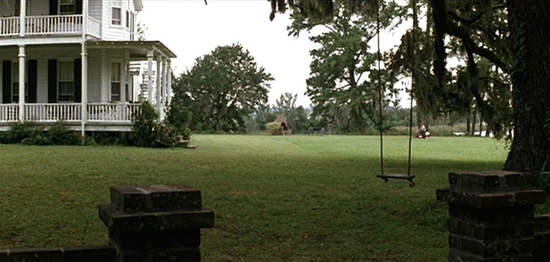 tree swing forrest gump