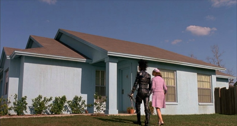 Blue Boggs House Edward Scissorhands